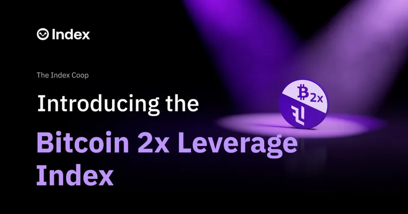Introducing the BTC 2xFLI Flexible Leverage Index